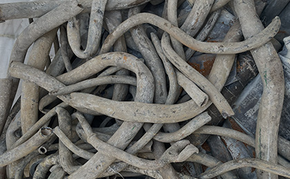 建造物解体工事